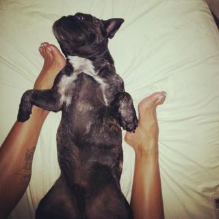 Gracyanne Barbosa feet photo thumbnail