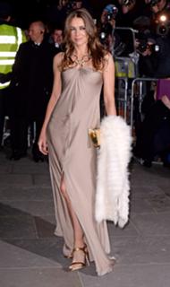Elizabeth Hurley feet photo thumbnail