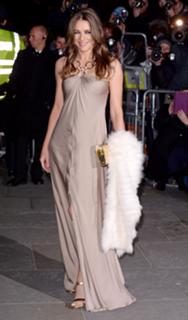 Elizabeth Hurley feet photo thumbnail