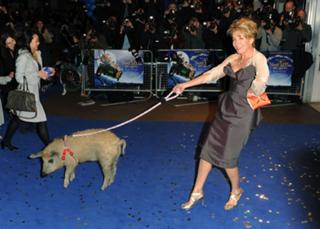Emma Thompson feet photo thumbnail