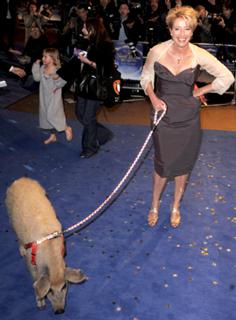 Emma Thompson feet photo thumbnail
