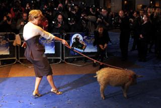 Emma Thompson feet photo thumbnail