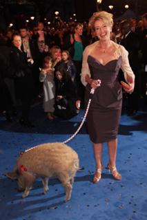 Emma Thompson feet photo thumbnail