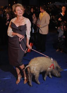 Emma Thompson feet photo thumbnail