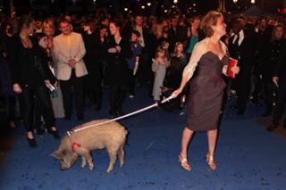 Emma Thompson feet photo thumbnail