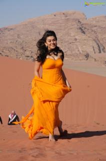 Hansika Motwani feet photo thumbnail