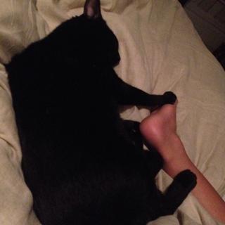 Franciely Freduzeski feet photo thumbnail
