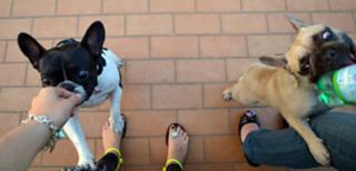 Chiara Ferragni feet photo thumbnail