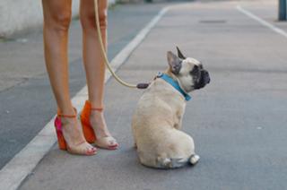 Chiara Ferragni feet photo thumbnail