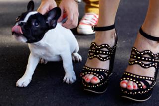 Chiara Ferragni feet photo thumbnail