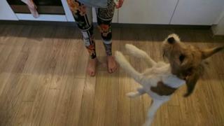 Marta Wierzbicka feet photo thumbnail