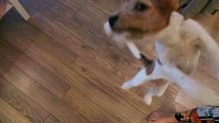 Marta Wierzbicka feet photo thumbnail