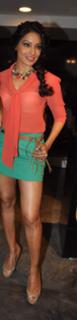 Bipasha Basu feet photo thumbnail