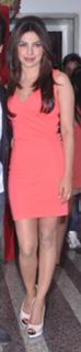 Priyanka Chopra Jonas feet photo thumbnail