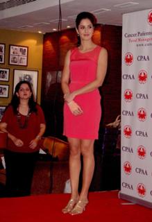 Katrina Kaif feet photo thumbnail