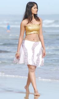 Ileana D'Cruz feet photo thumbnail