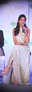 Deepika Padukone feet photo thumbnail