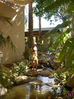 Victoria Azarenka feet photo 3