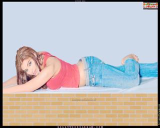 Bipasha Basu feet photo thumbnail