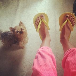 Audrina Patridge feet photo thumbnail