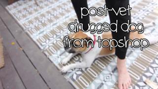 Grace Helbig feet photo thumbnail