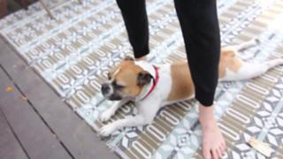 Grace Helbig feet photo thumbnail