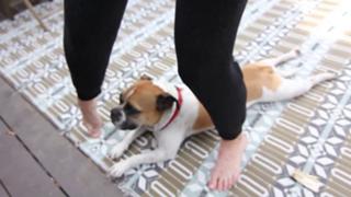 Grace Helbig feet photo thumbnail