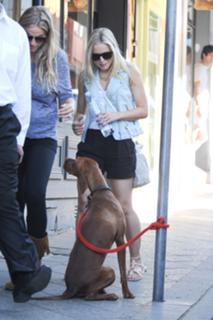 Kristen Bell feet photo thumbnail