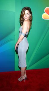 Sophia Bush feet photo thumbnail