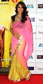 Bipasha Basu feet photo thumbnail