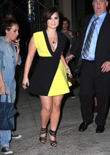 Demi Lovato feet photo thumbnail