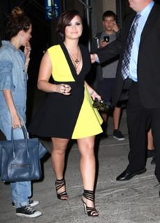 Demi Lovato feet photo thumbnail