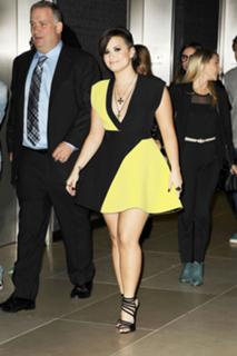 Demi Lovato feet photo thumbnail