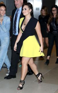 Demi Lovato feet photo thumbnail