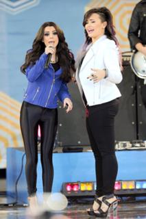 Demi Lovato feet photo thumbnail