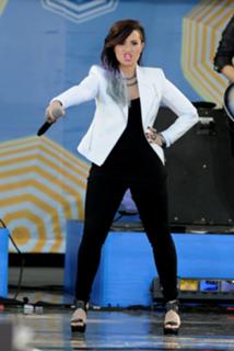 Demi Lovato feet photo thumbnail