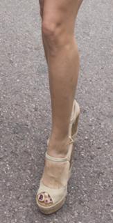 Elisabetta Gregoraci feet photo thumbnail