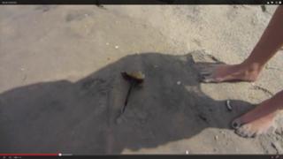 Justine Ezarik feet photo thumbnail