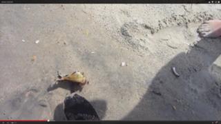Justine Ezarik feet photo thumbnail