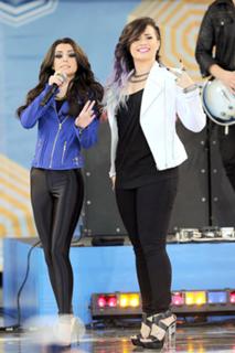 Demi Lovato feet photo thumbnail