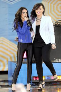 Demi Lovato feet photo thumbnail