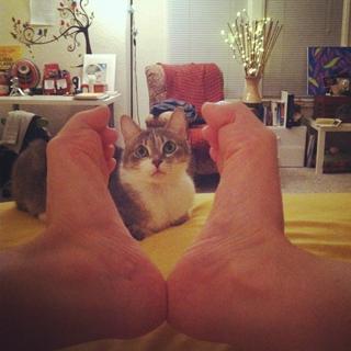 Melissa Villaseñor feet photo 1