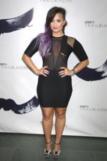 Demi Lovato feet photo thumbnail