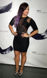 Demi Lovato feet photo thumbnail