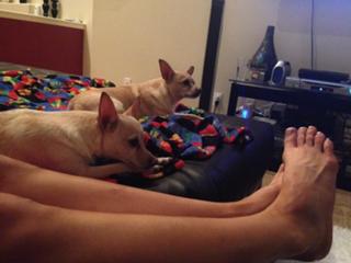 Emma Lovett feet photo thumbnail