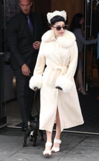 Lady Gaga feet photo thumbnail
