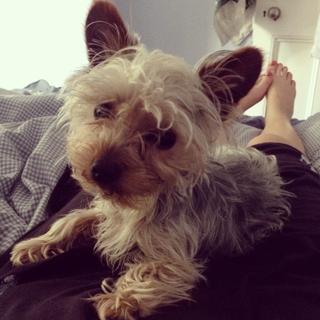 Katherine Ryan feet photo 5