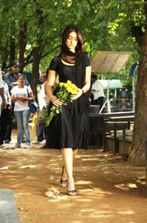 Ileana D'Cruz feet photo thumbnail