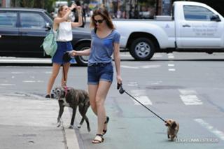 Leighton Meester feet photo thumbnail