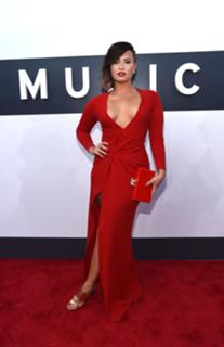 Demi Lovato feet photo thumbnail
